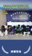 Tải video: 延安13人给境外诈骗团伙“为虎作伥”被抓获#延安头条#