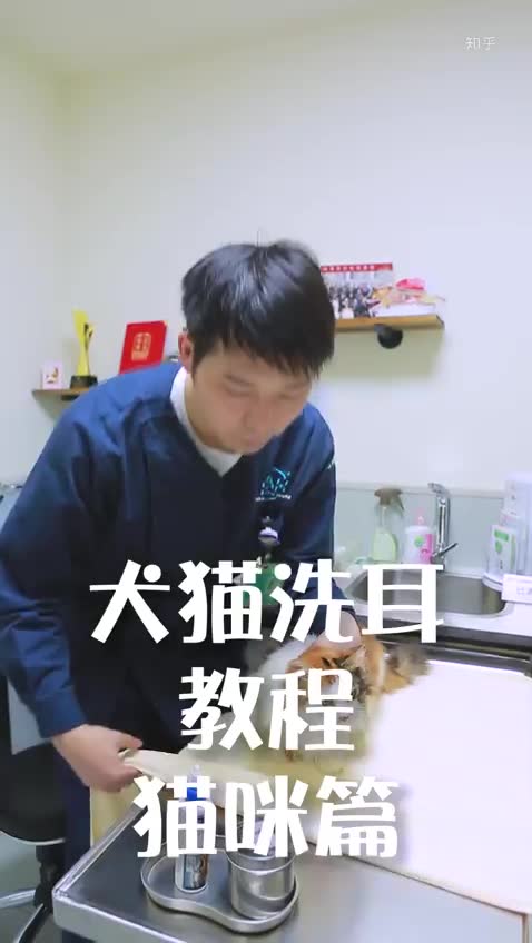 犬猫洗耳视频哔哩哔哩bilibili