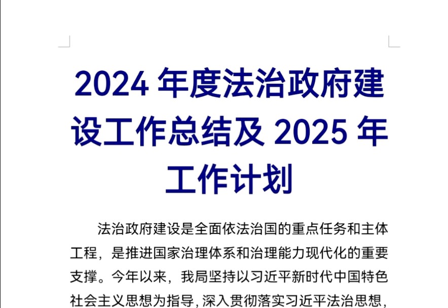 2024年度法治政府建设工作总结及2025年工作计划哔哩哔哩bilibili