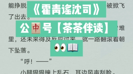 小说推荐《霍青谣沈司》又名《霍青谣沈司》全文完结哔哩哔哩bilibili