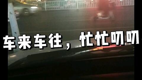 谁的副驾还没个小可爱 哔哩哔哩