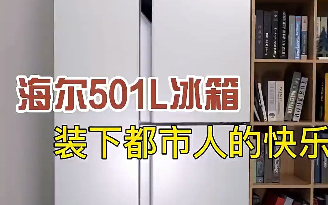 双系统海尔冰箱501L门新款白色大冷冻超薄嵌型号哔哩哔哩bilibili