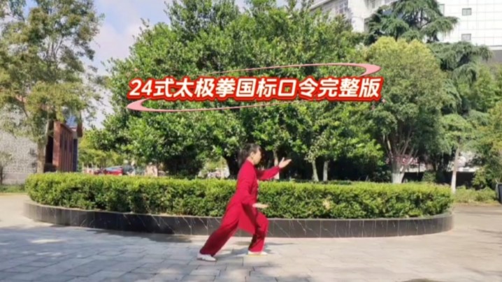 养生太极掌第三套口令版(养生太极掌第三套背向分解动作)