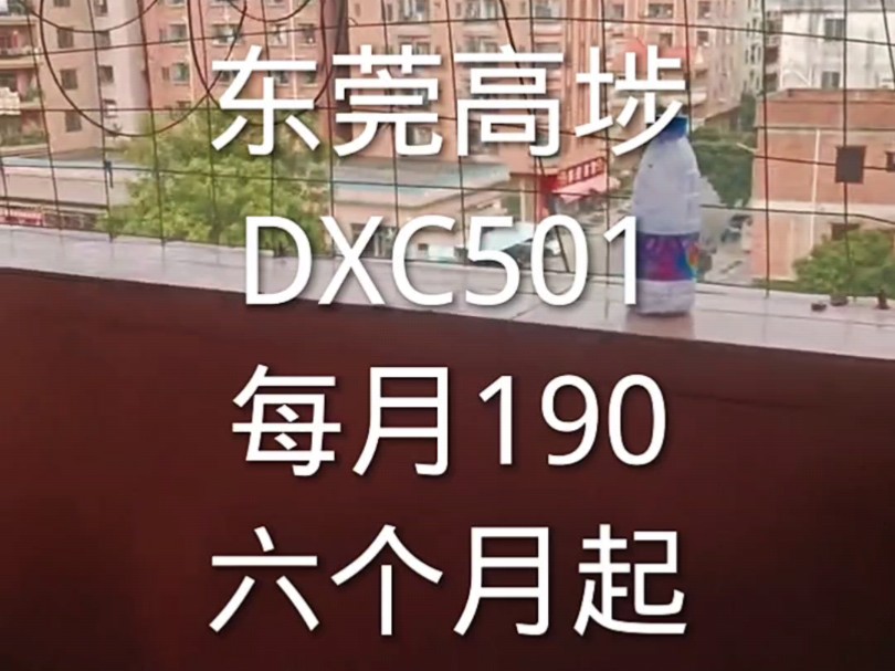 东莞高埗,DXC501,每月190,六个月起哔哩哔哩bilibili