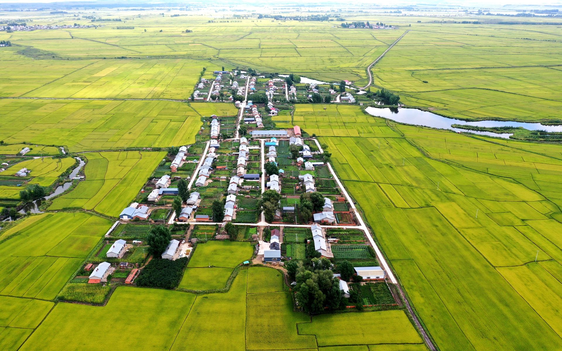 宁安市渤海镇莲花村(鱼米之乡)航拍