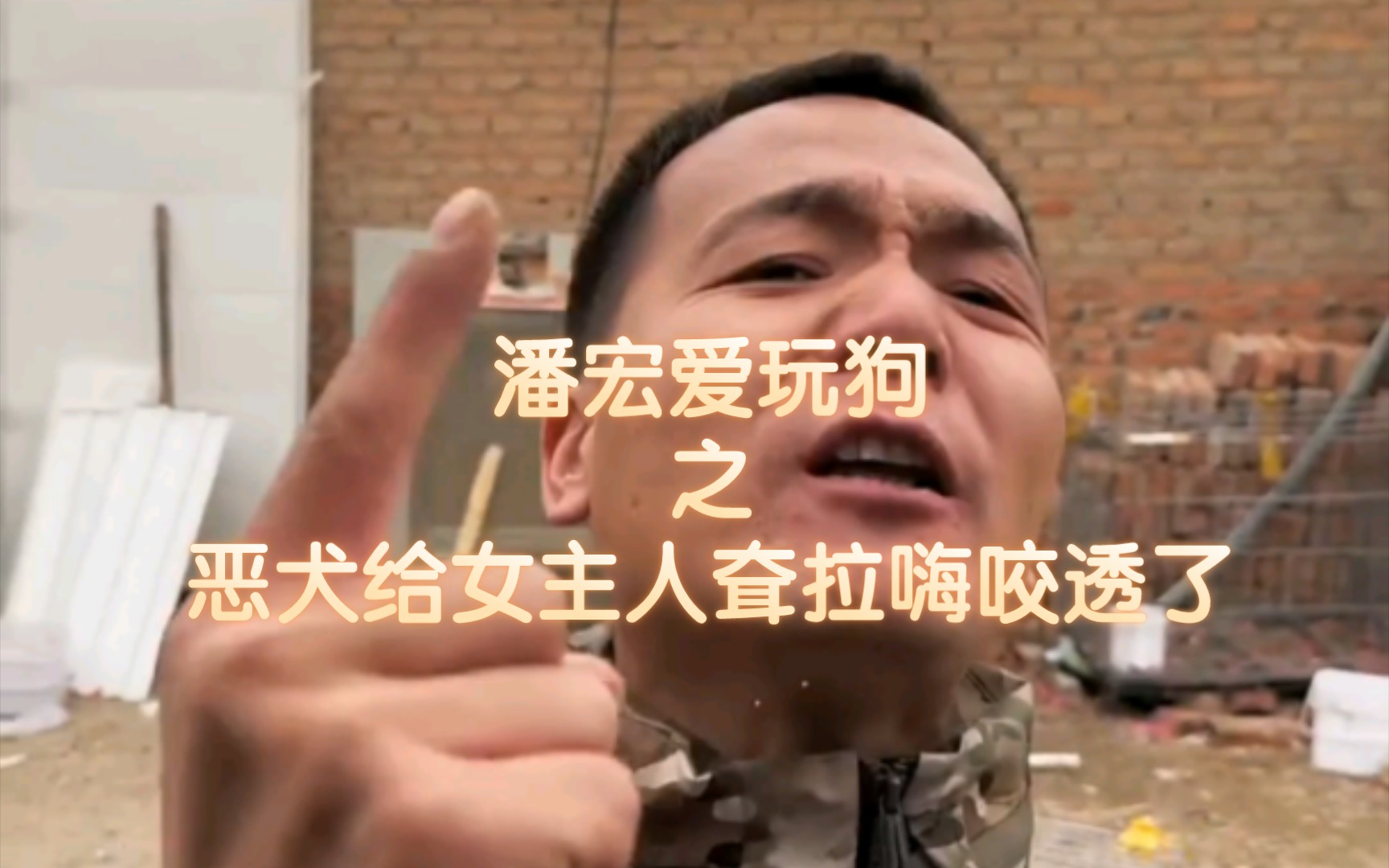 【潘宏】"这狗我要不玩网络,我能给它弄xi"