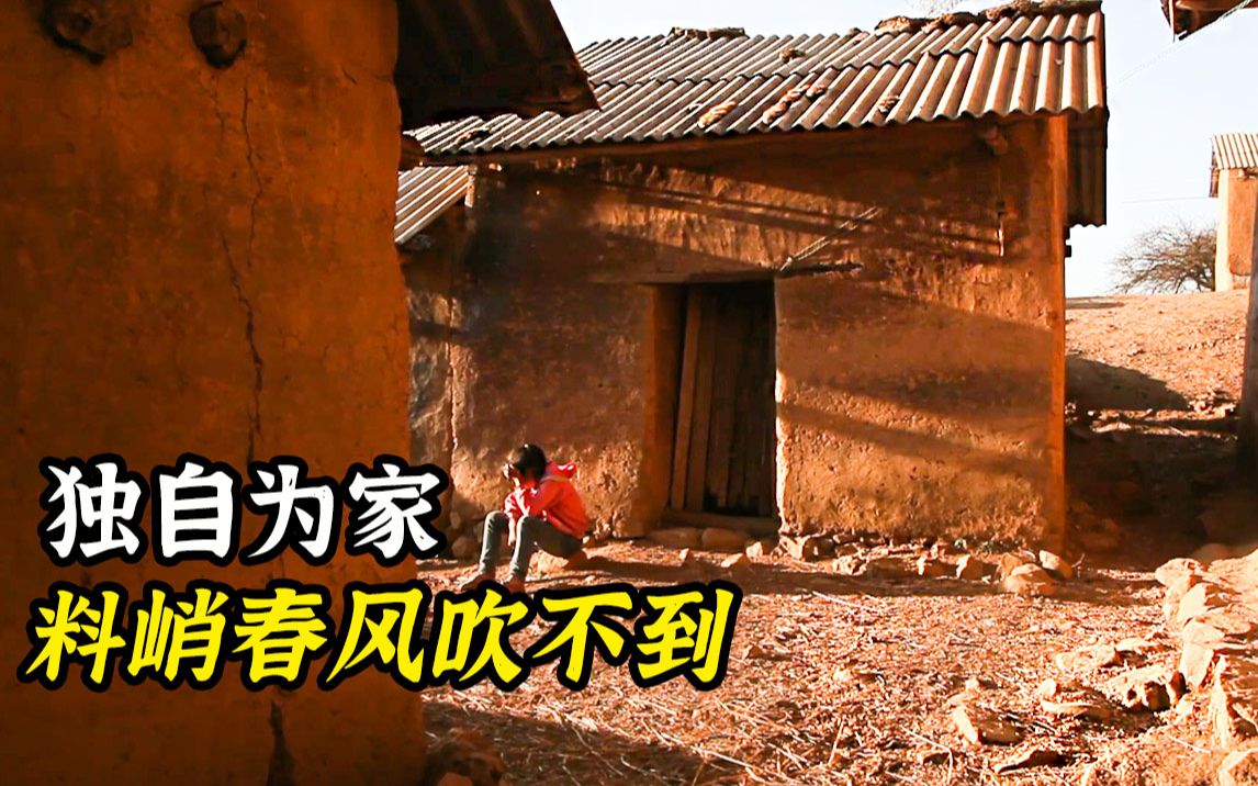 [图]天生就讨巧的题材，导演找到独自居住的4姐弟，开机就注定获奖！