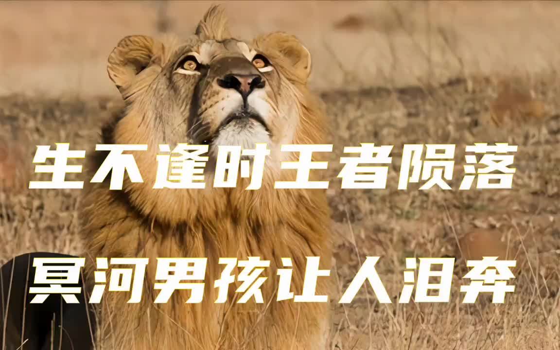 为了复仇不惜以生命为代价,悲壮的冥河男孩#神奇动物在抖音