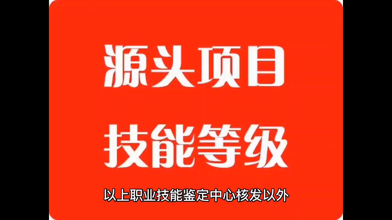 国网查询,人社部第三方技能证书,你需要了解的小知识哔哩哔哩bilibili