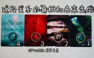 Download Video: 【Franklin本尊】这段关系的真相和未来走向 (无时限)