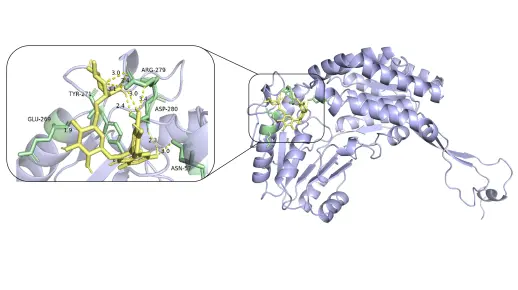 分子对接pymol可视化教程