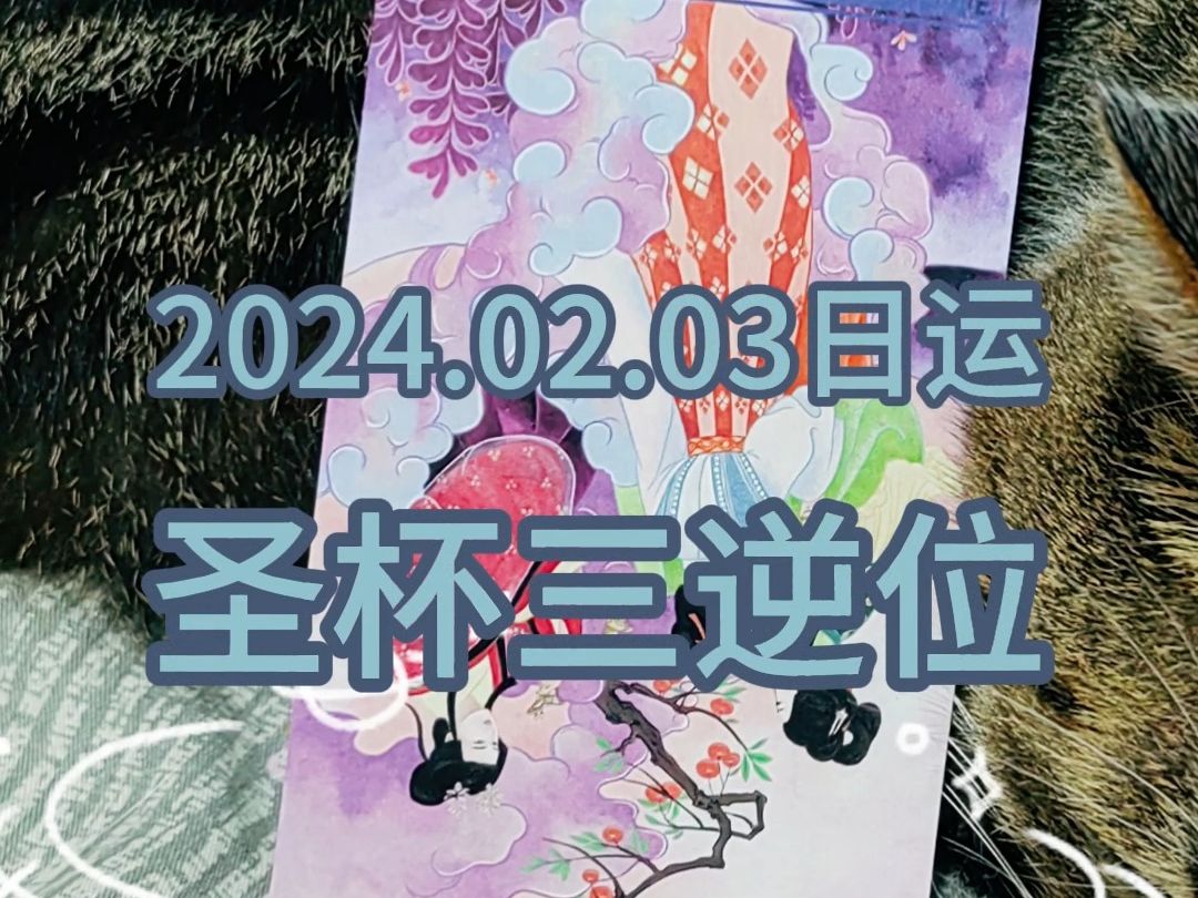 2024年2月3日ⷦ—娿:圣杯三逆位哔哩哔哩bilibili