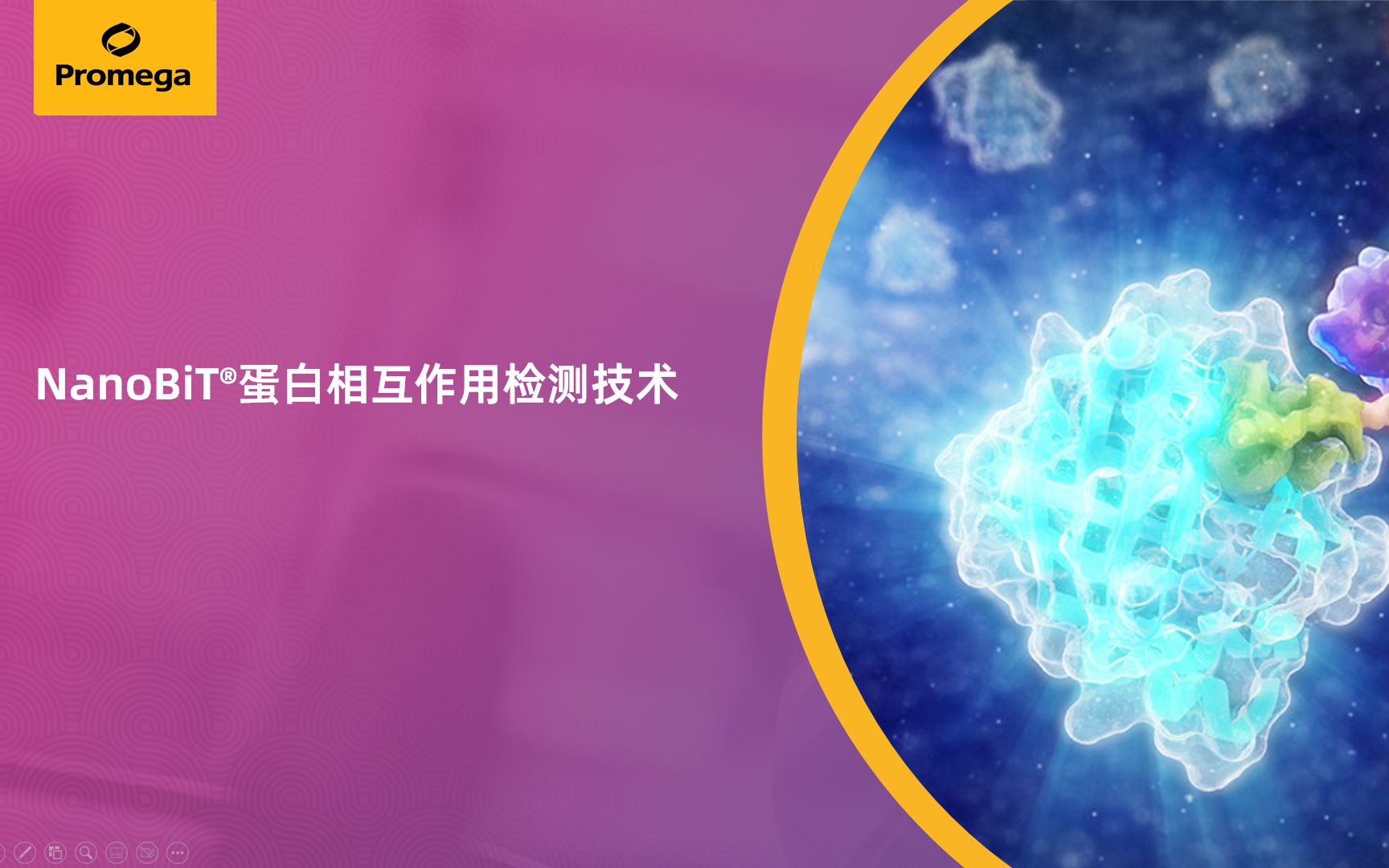 NanoBiT蛋白相互作用检测技术哔哩哔哩bilibili