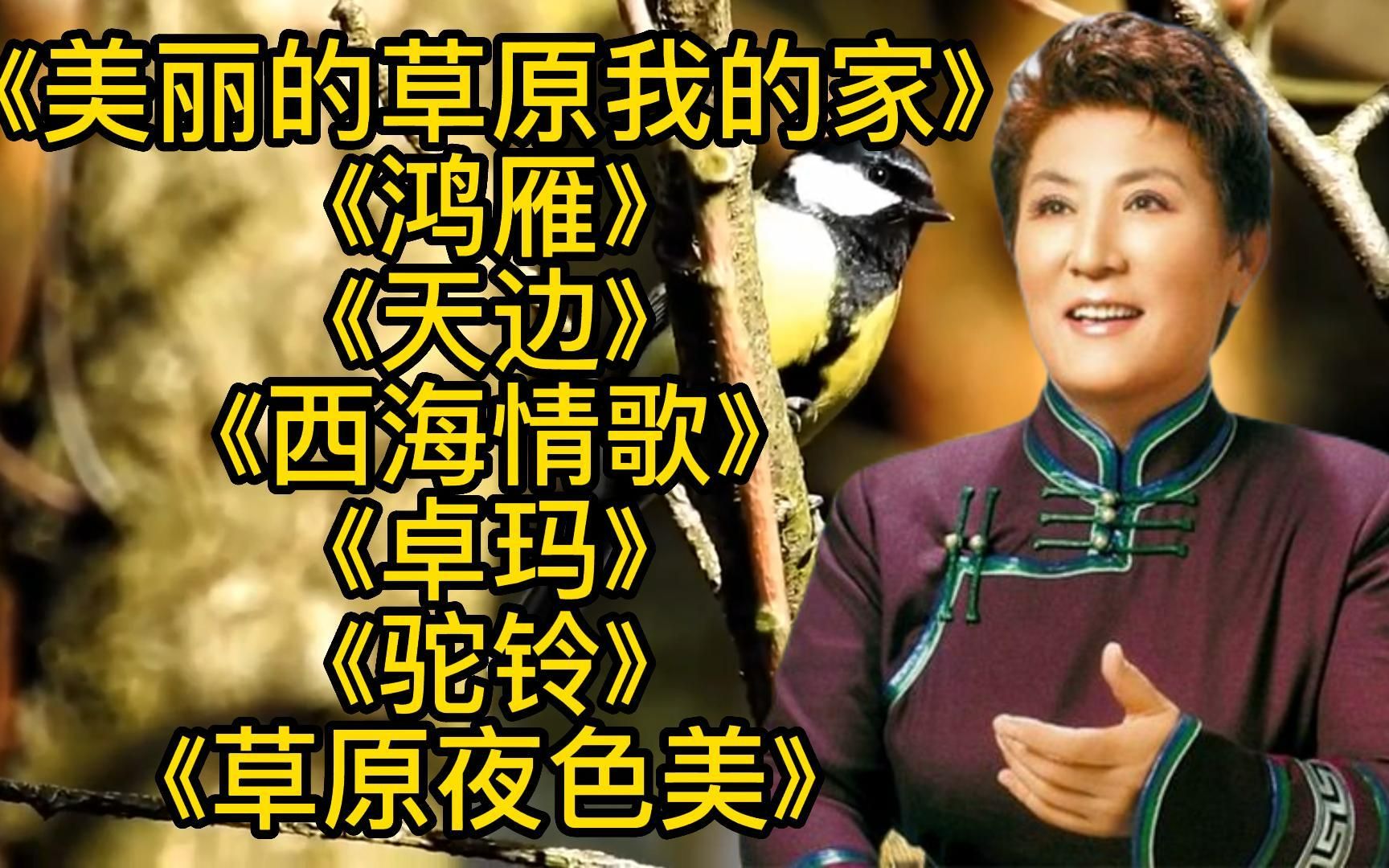 [图]德德玛《美丽的草原我的家》《鸿雁》《天边》《西海情歌》卓玛