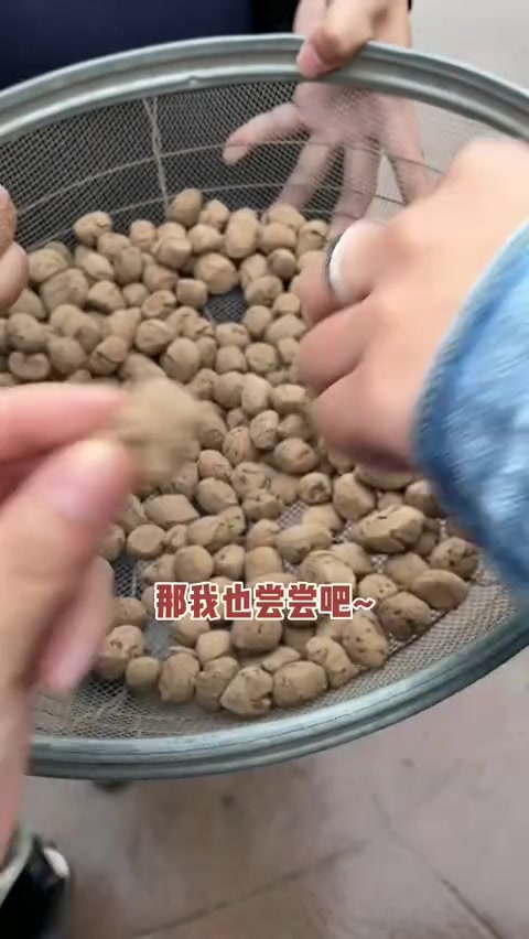 土炒馍你吃过吗?哔哩哔哩bilibili