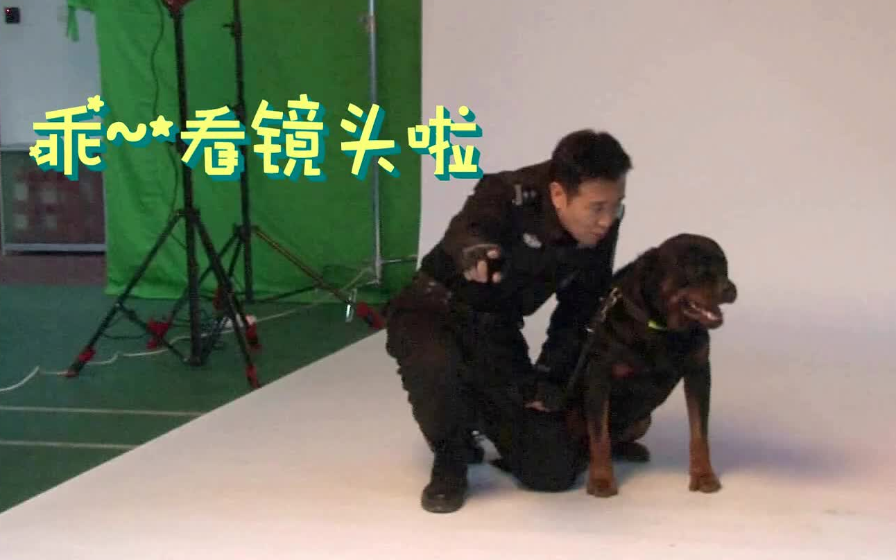 [图]【于和伟】《警花与警犬》影视相关合集