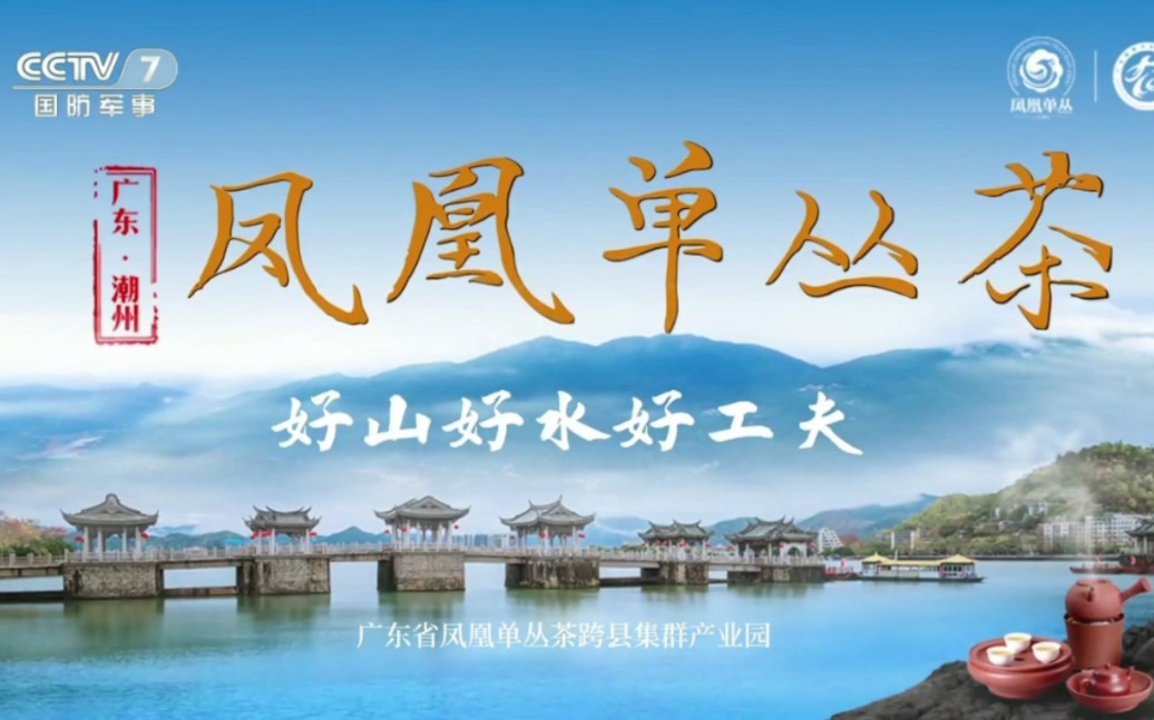 广东潮州凤凰单丛茶 好山好水好工夫 5秒广告