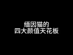 Descargar video: 有你们喜欢的颜色吗