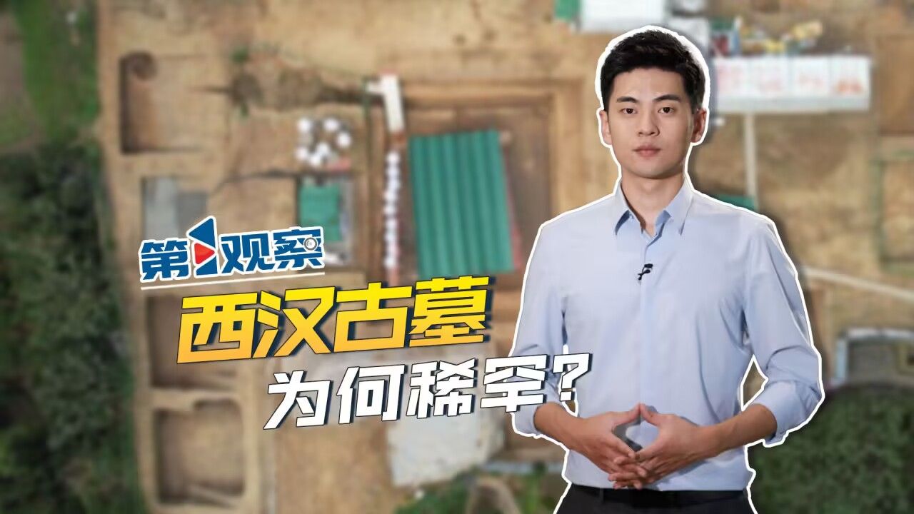 第1观察 | 西汉古墓 为何稀罕?哔哩哔哩bilibili