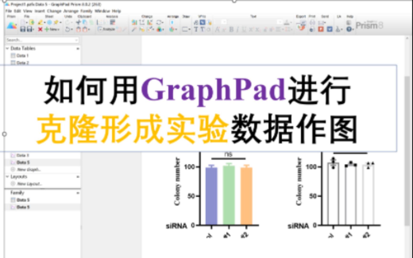 如何用GraphPad来进行克隆形成实验作图哔哩哔哩bilibili