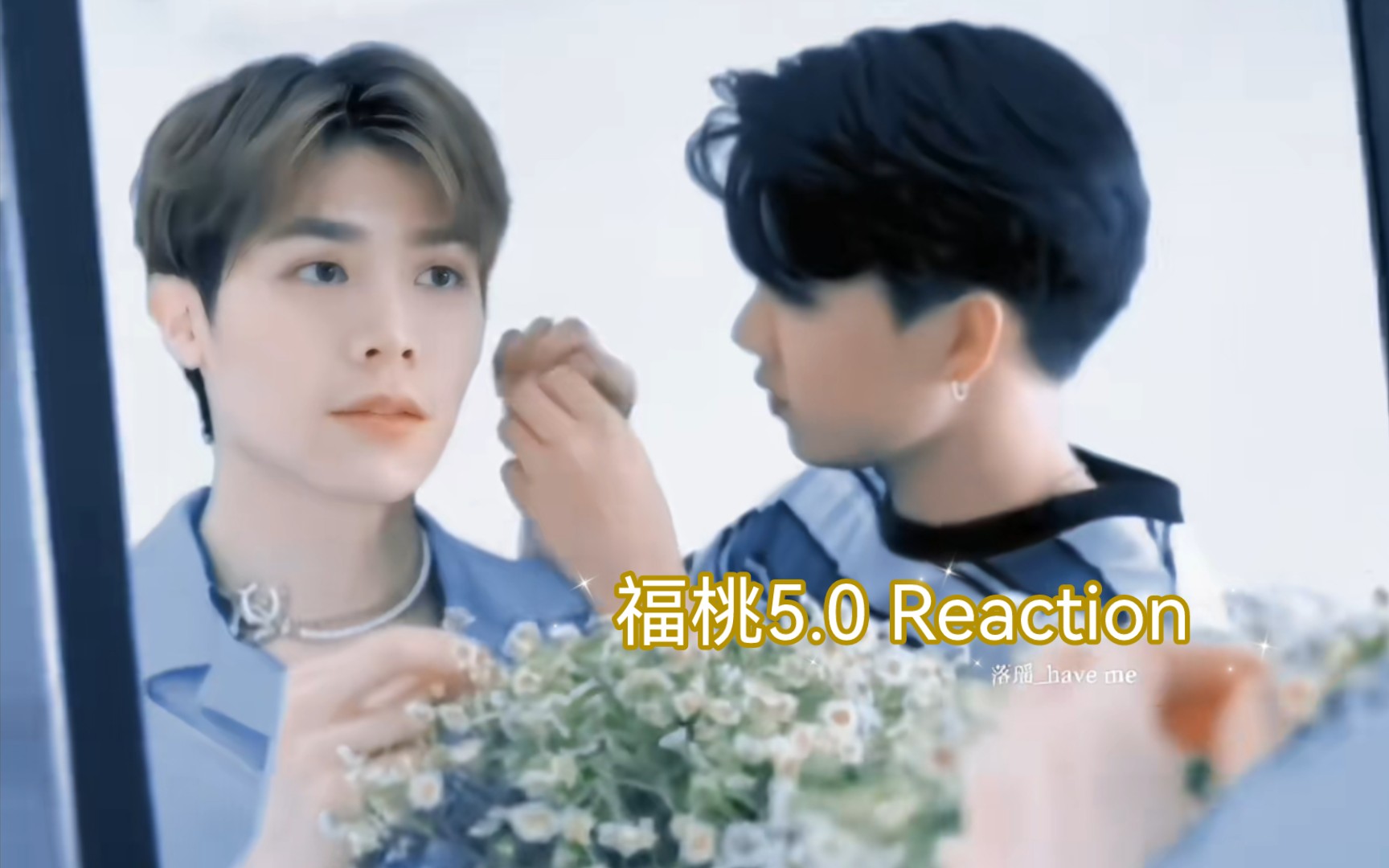 福福桃桃5.0 reaction