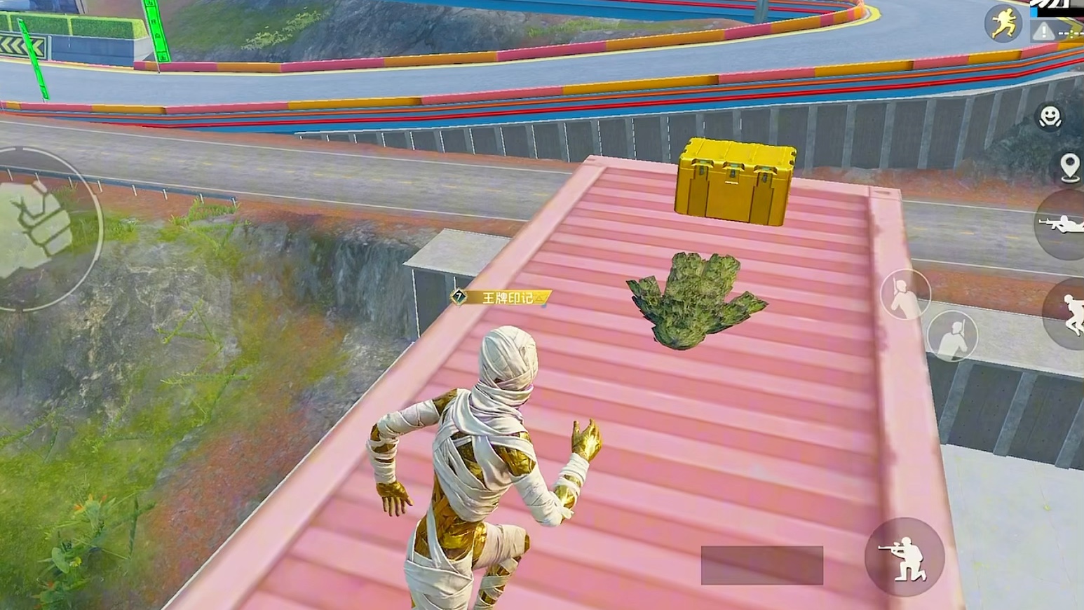 和平精英拿吉利服