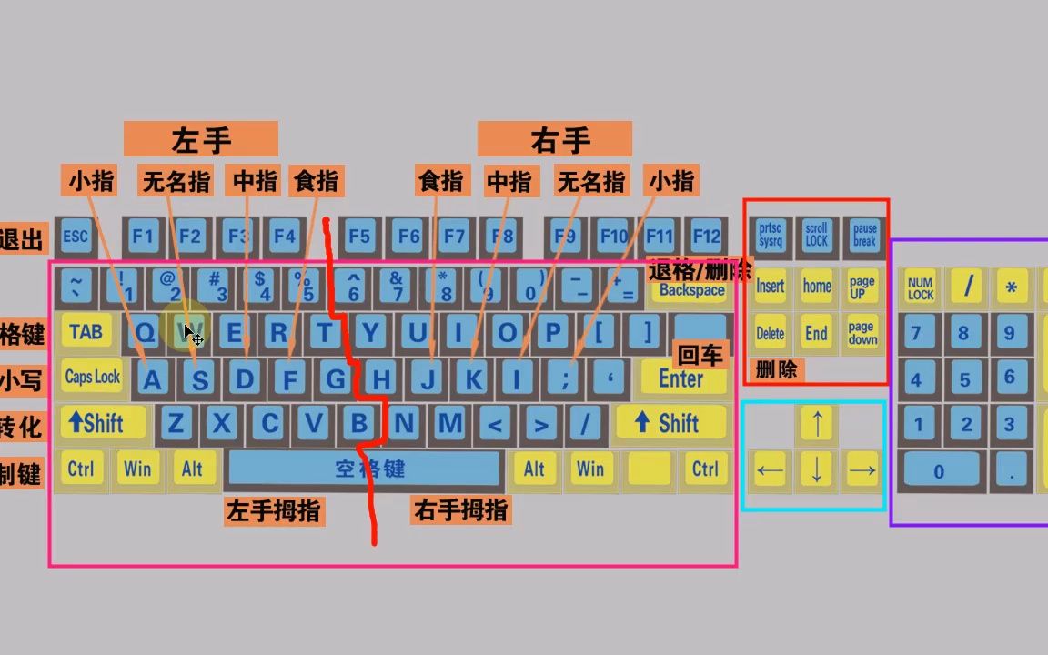 零基礎快速學拼音學五筆打字教程,鍵盤打字快速入門