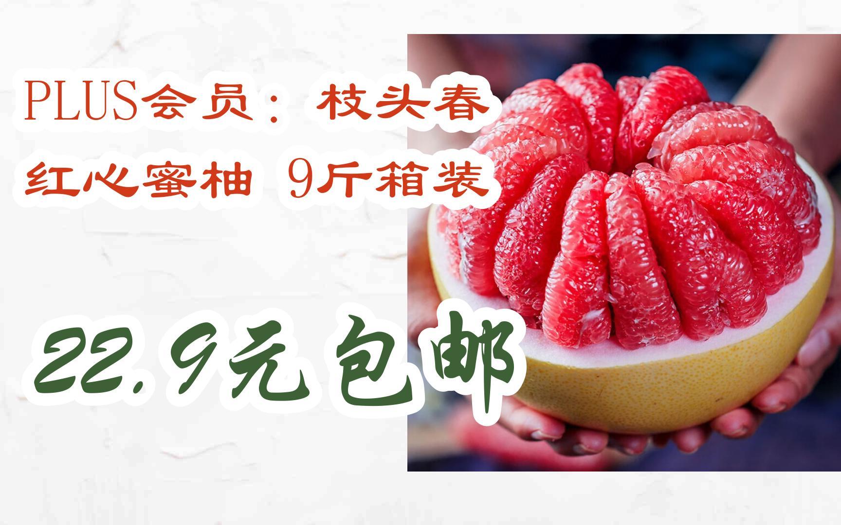 [捡漏价]plus会员:枝头春 红心蜜柚 9斤箱装 22.9元包邮