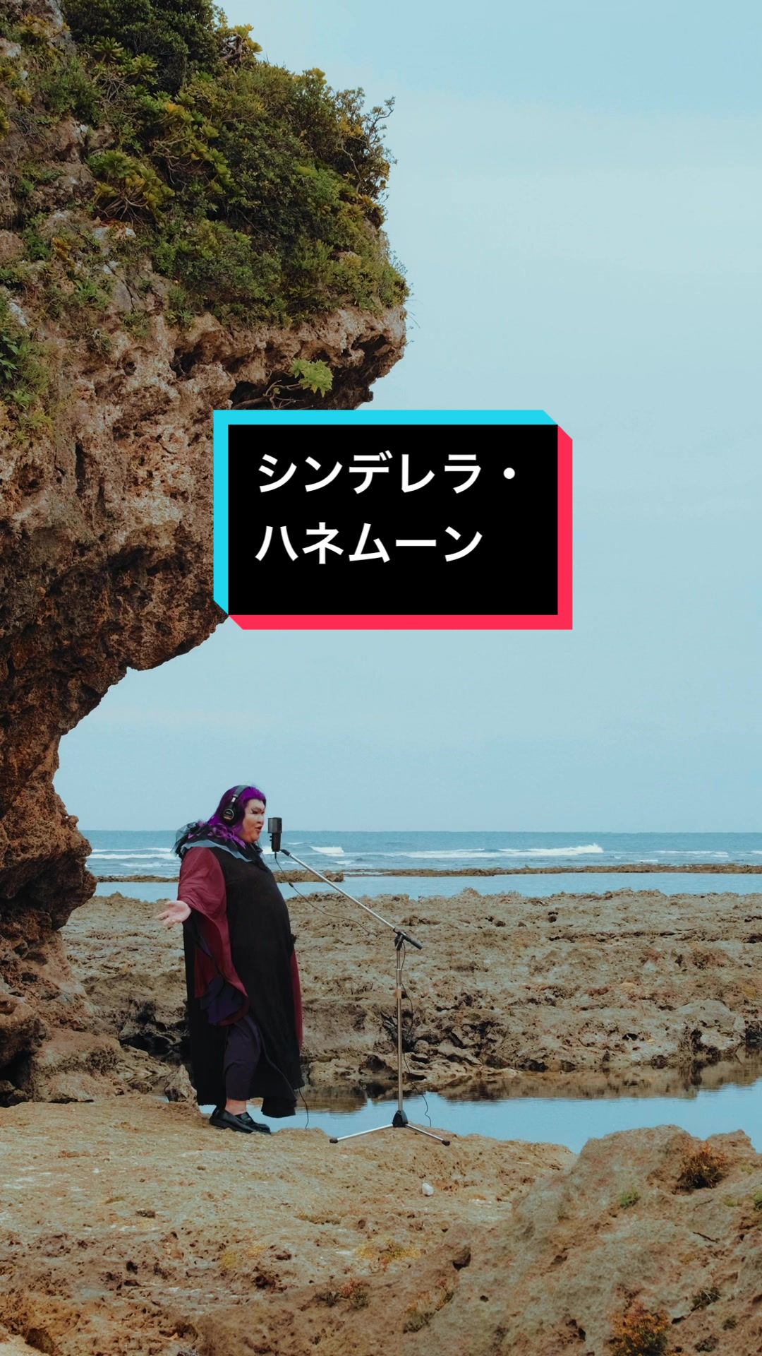 《灰姑娘蜜月/岩崎宏美》covered by豪华