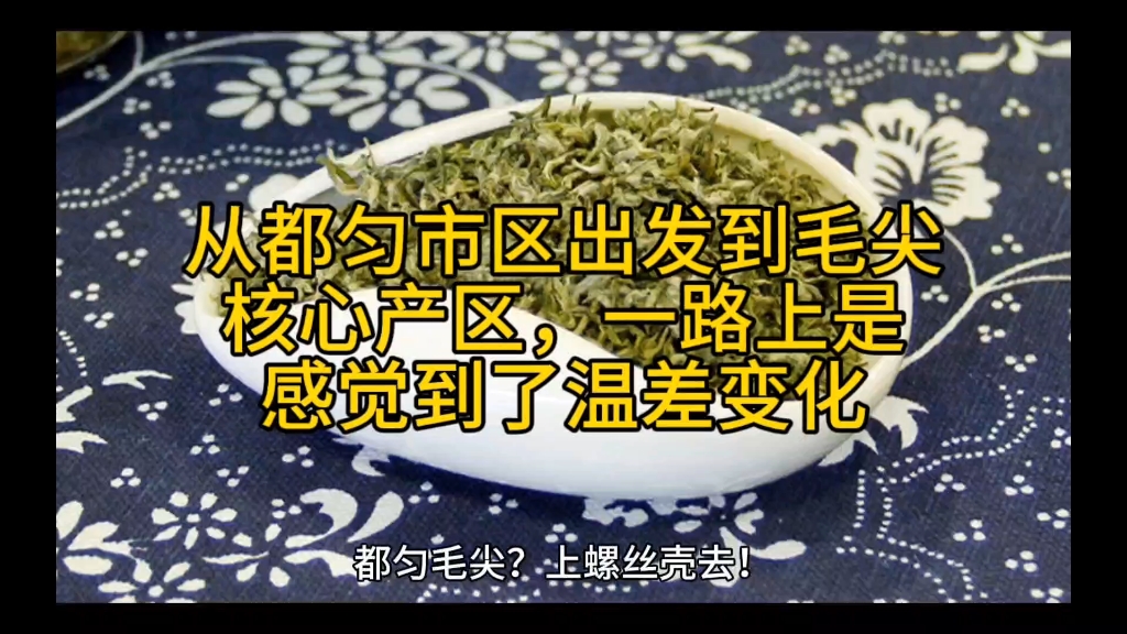 从都匀市区出发到毛尖核心产区,一路上是感觉到了温差变化哔哩哔哩bilibili