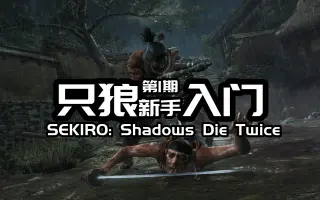 Sekiro Shadows Die T 搜索结果 哔哩哔哩 Bilibili