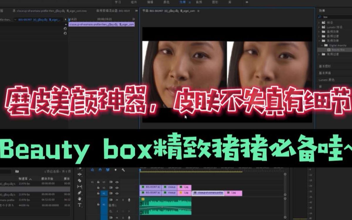 【PR必备插件】beauty box一键美颜神器,皮肤不失真有质感就要美美哒~哔哩哔哩bilibili