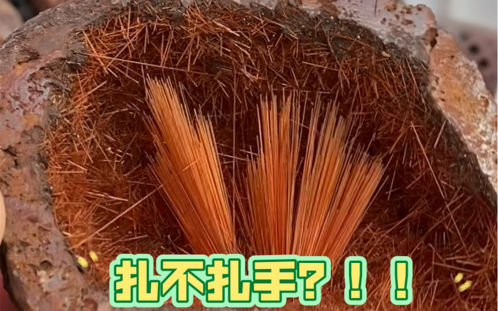 唐门暗器龙须针?千万不要用手摸!