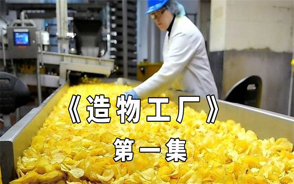 造物工廠每天生產500萬包薯片一個土豆就能夠加工成一包