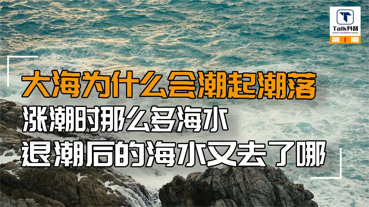 大海为什么会潮起潮落?涨潮时那么多海水,退潮后又去了哪里哔哩哔哩bilibili