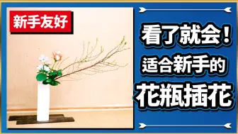 Descargar video: 花瓶插花初级篇