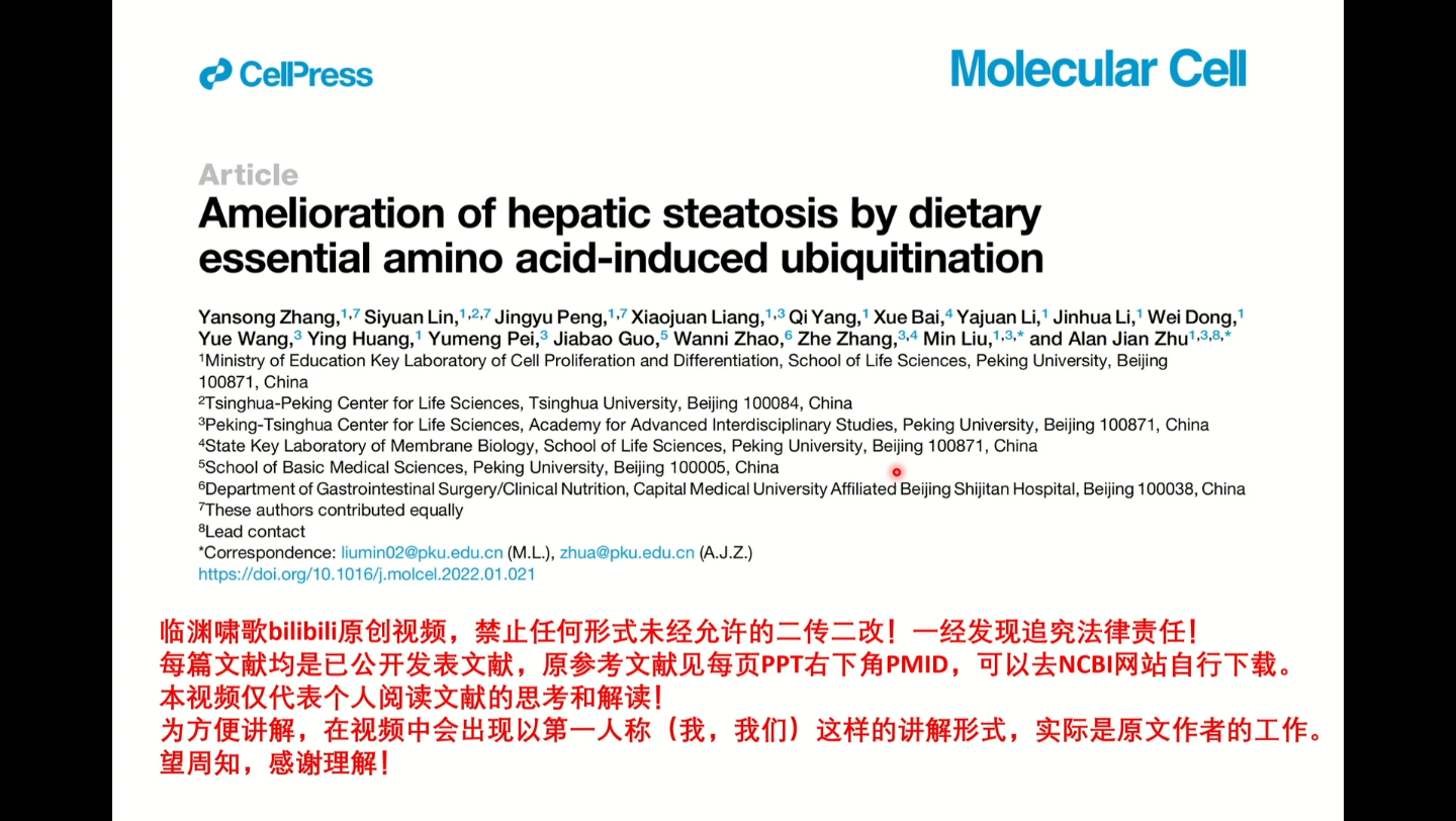 【生物外刊文献 | 必须氨基酸 缓解NAFLD】(上)高蛋白饮食缓解肝脏脂肪变性steatosis的机制找到啦!快进来看文献吧~哔哩哔哩bilibili