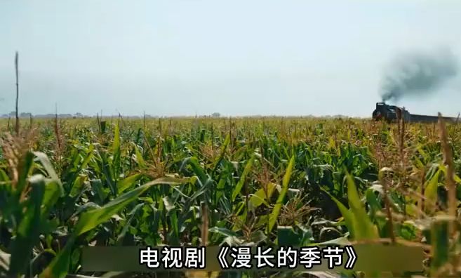 初现凶杀案哔哩哔哩bilibili