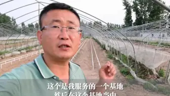 一亩地投入不到2000元，农户就能做成无土栽培种植槽，很实用
