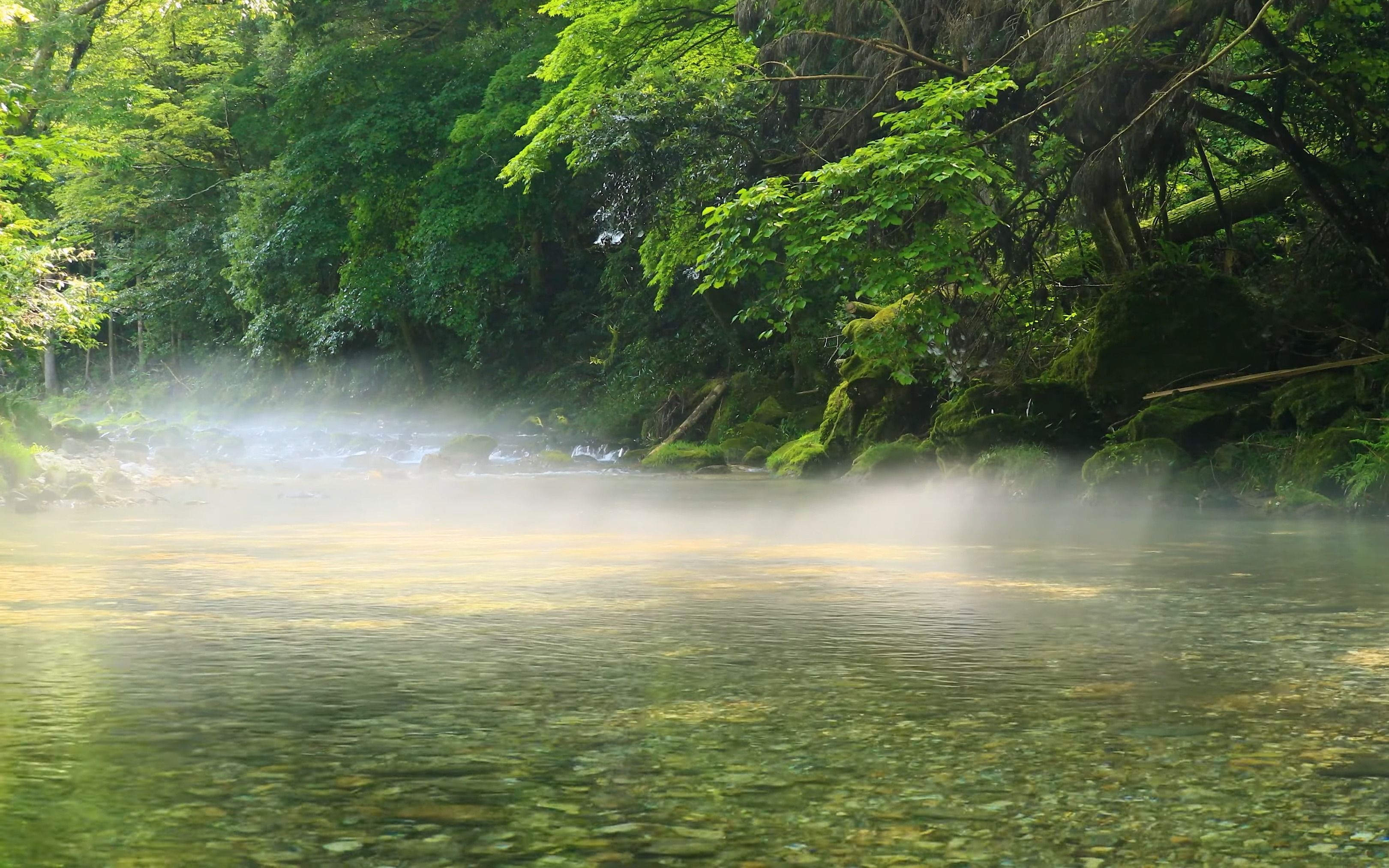 圆原川美丽的河雾和晨光