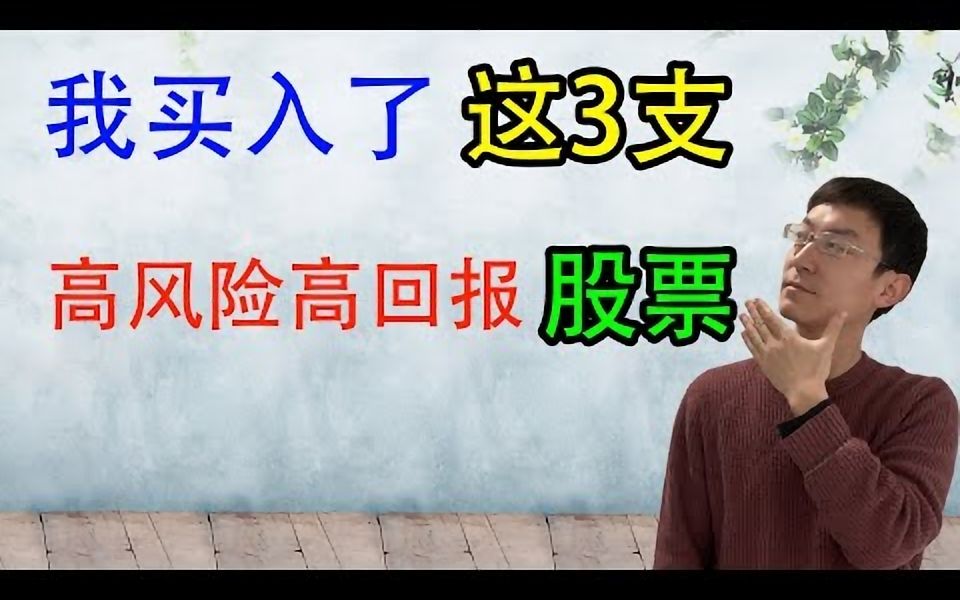 活动作品我买入了这3支高风险高回报股票