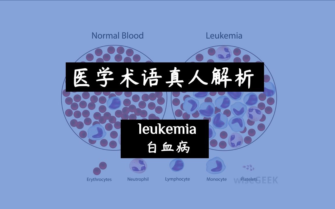 【医学术语真人解析】白血病哔哩哔哩bilibili