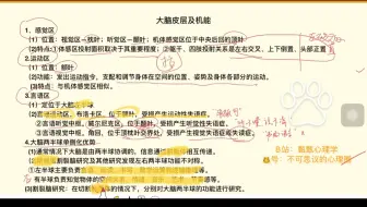【甄甄心理学】心理学考研/带背书四/普心第二章/大脑皮层和脑机能学说