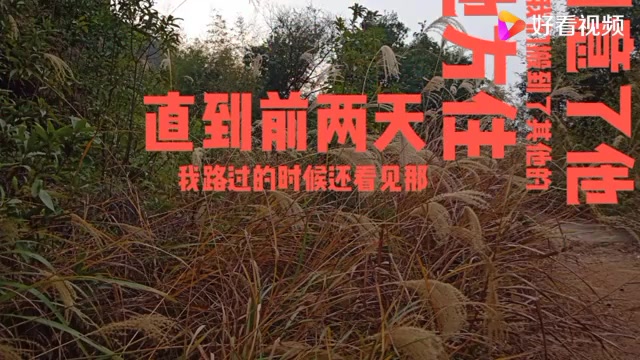 民间故事《一声叹息》当时我和我的老婆在外面租房子住哔哩哔哩bilibili