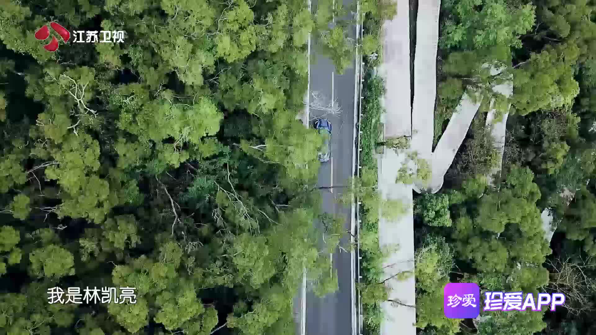 新相亲大会优质创业男林凯亮获楚楚芳心快速爆灯