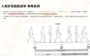 下载视频: 基础肌动学第12章