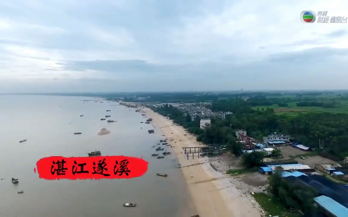 在广东,干贝又叫干瑶柱.来看看美味的海鲜瑶柱是从海贝演变而来的吧!哔哩哔哩bilibili