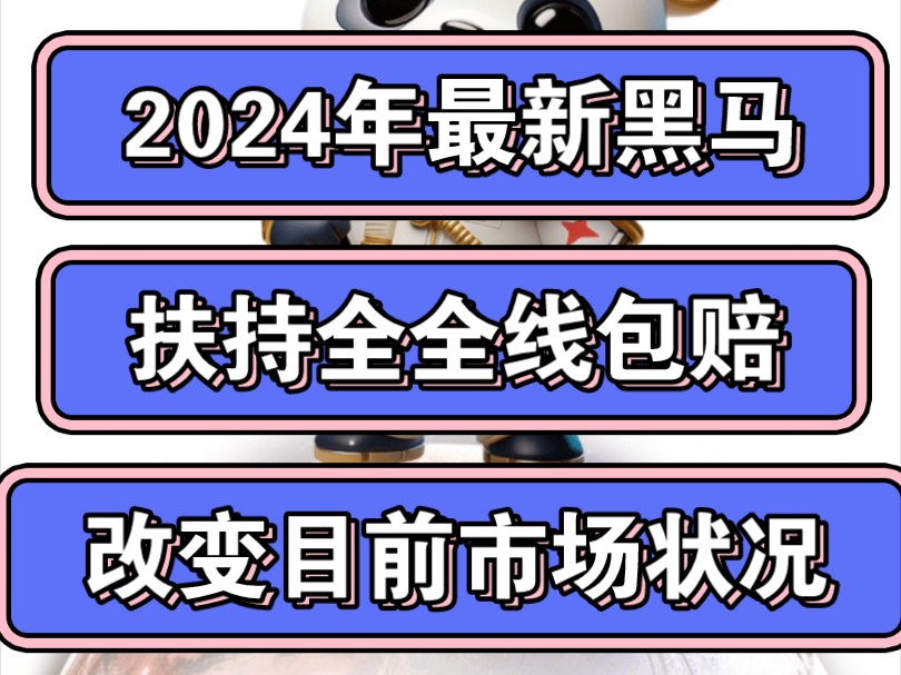 2024年黑马项目改变市场状况 扶持全线包赔 翻身的日子终于来了!!!哔哩哔哩bilibili