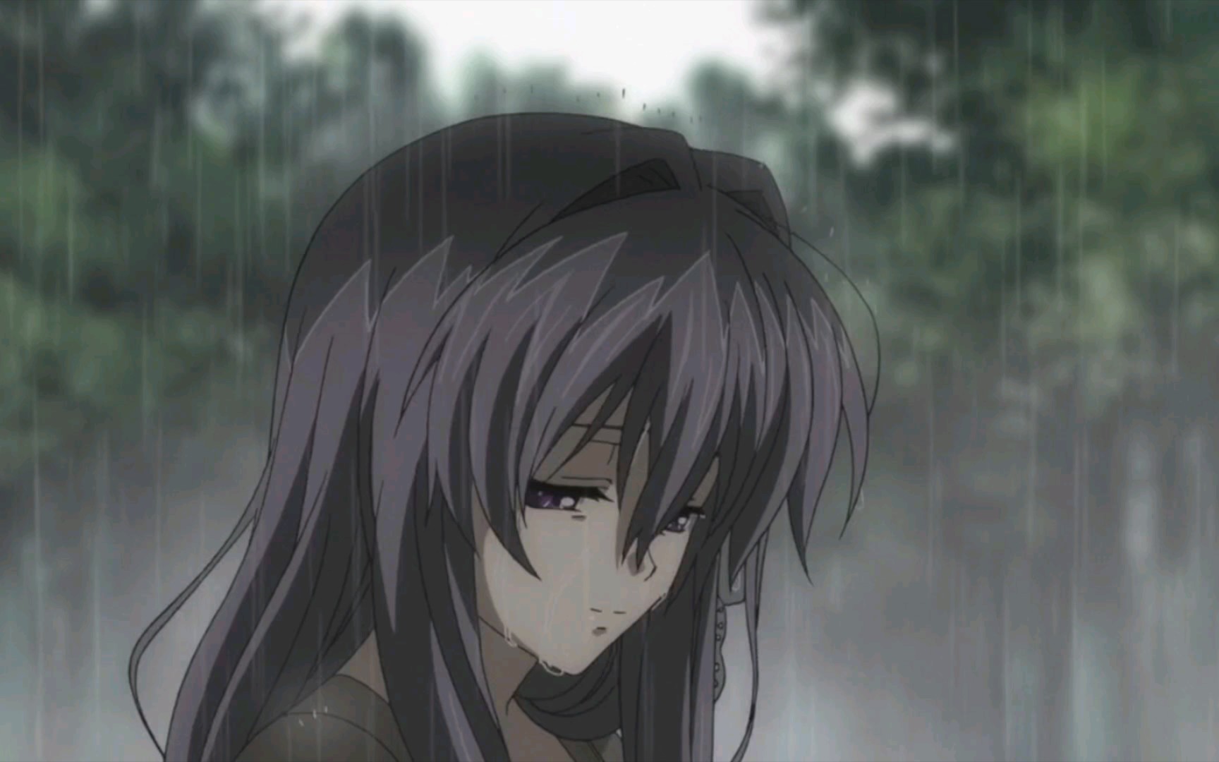 雨中杏,真情流露