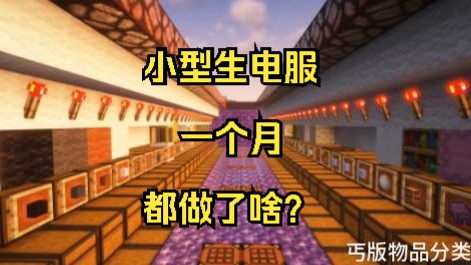 【我的世界服务器】小型生电服开服1个月会有什么?